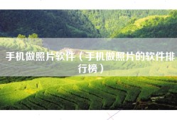 手机做照片软件（手机做照片的软件排行榜）