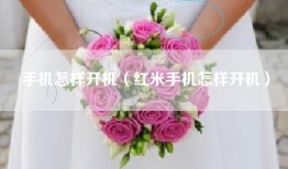 手机怎样开机（红米手机怎样开机）