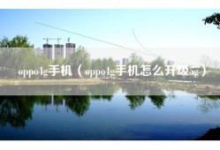 oppo4g手机（oppo4g手机怎么升级5g）