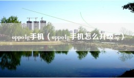 oppo4g手机（oppo4g手机怎么升级5g）