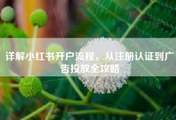 详解小红书开户流程，从注册认证到广告投放全攻略