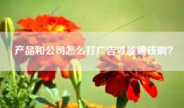 产品和公司怎么打广告才能赚钱啊？