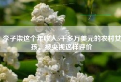李子柒这个年收入5千多万美元的农村女孩，被央视这样评价