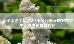 李子柒这个年收入5千多万美元的农村女孩，被央视这样评价