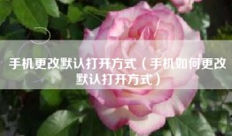 手机更改默认打开方式（手机如何更改默认打开方式）
