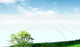 如何制作手机软件（如何制作手机软件app）