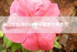 7个好用的BT种子搜索引擎推荐