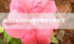 7个好用的BT种子搜索引擎推荐