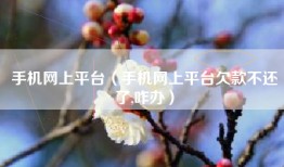 手机网上平台（手机网上平台欠款不还了,咋办）