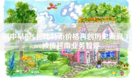 融中早报 ｜ 比特币价格再创历史新高 Temu被传越南业务暂停