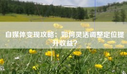 自媒体变现攻略：如何灵活调整定位提升收益？