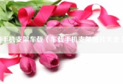 手机支架车载（车载手机支架图片大全）