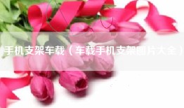 手机支架车载（车载手机支架图片大全）