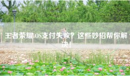 王者荣耀iOS支付失败?这些妙招帮你解决!