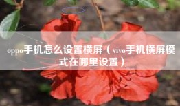 oppo手机怎么设置横屏（vivo手机横屏模式在哪里设置）
