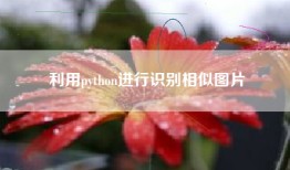 利用python进行识别相似图片