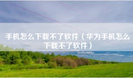 手机怎么下载不了软件（华为手机怎么下载不了软件）