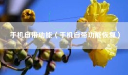手机自带功能（手机自带功能恢复）