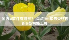 国内AI软件有哪些？ 盘点2024年最受欢迎的10款智能工具!