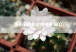 清明节的起源和由来(简介)