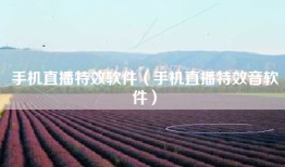 手机直播特效软件（手机直播特效音软件）