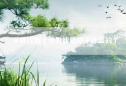手机钱盾（手机钱盾是干什么的）