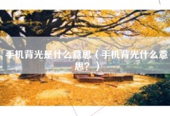 手机背光是什么意思（手机背光什么意思？）