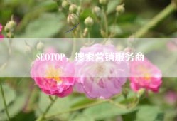 SEOTOP，搜索营销服务商