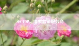 SEOTOP，搜索营销服务商