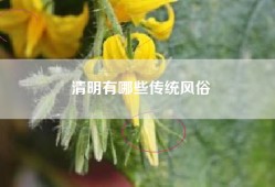清明有哪些传统风俗