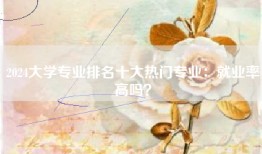 2024大学专业排名十大热门专业：就业率高吗？