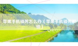 苹果手机锁死怎么办（苹果手机锁死解锁）
