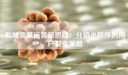 私域流量运营新思路：分销小程序的用户裂变策略