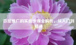 百度推广的实施步骤全解析，从入门到精通