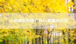 58 同城发帖推广技巧有哪些内容
