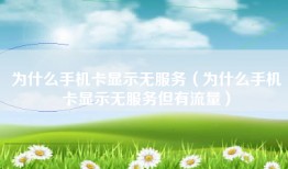为什么手机卡显示无服务（为什么手机卡显示无服务但有流量）