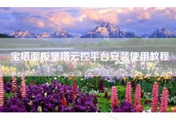 宝塔面板堡塔云控平台安装使用教程
