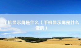 手机显示屏是什么（手机显示屏是什么做的）