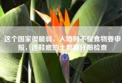 这个国家很脆弱，入境时不仅食物要申报，连鞋底的土都要仔细检查