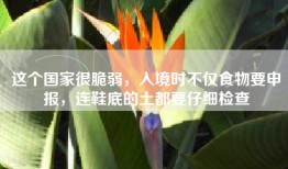 这个国家很脆弱，入境时不仅食物要申报，连鞋底的土都要仔细检查