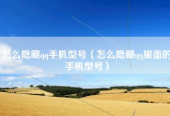 怎么隐藏qq手机型号（怎么隐藏qq里面的手机型号）