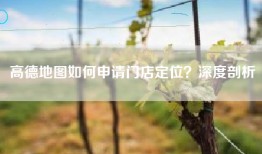 高德地图如何申请门店定位？深度剖析