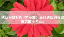 就业前景好的10大专业：最好就业的专业排名前十名2023