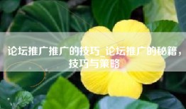 论坛推广推广的技巧_论坛推广的秘籍，技巧与策略