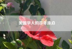 美国华人的百年漂泊