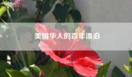 美国华人的百年漂泊