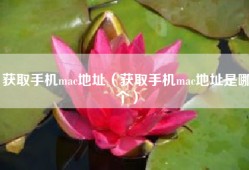 获取手机mac地址（获取手机mac地址是哪个）