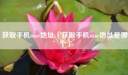 获取手机mac地址（获取手机mac地址是哪个）