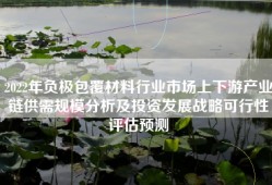 2022年负极包覆材料行业市场上下游产业链供需规模分析及投资发展战略可行性评估预测