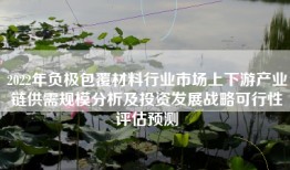 2022年负极包覆材料行业市场上下游产业链供需规模分析及投资发展战略可行性评估预测